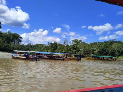 Misahualli - Photo 2