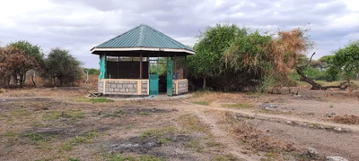 Amboseli Eco-system - Photo 3