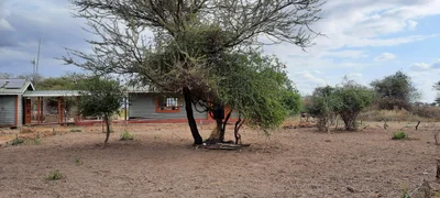 Amboseli Eco-system - Photo 4
