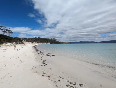 Maria Island - Photo 2