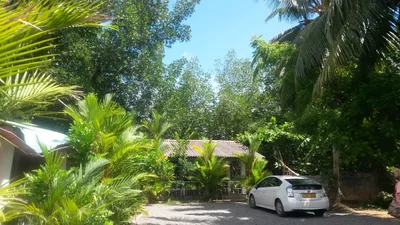 Habaraduwa - Photo 3