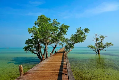 Ko Mak - Photo 5