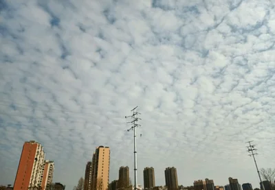 Shangqiu - Photo 3